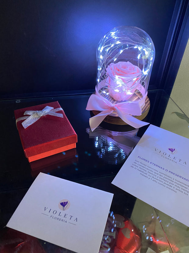 Pack Hermosa Rosa - Florería Violeta