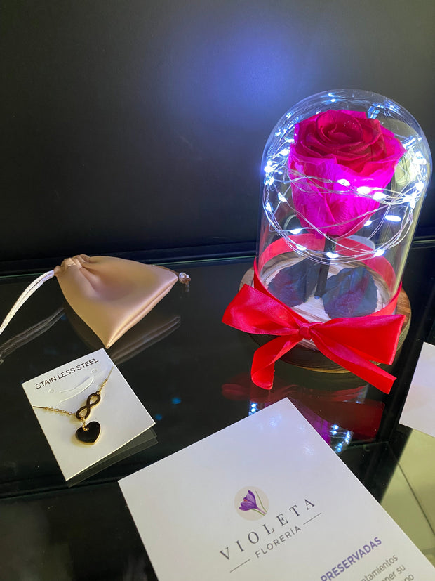Pack Te Amo Infinito - Florería Violeta