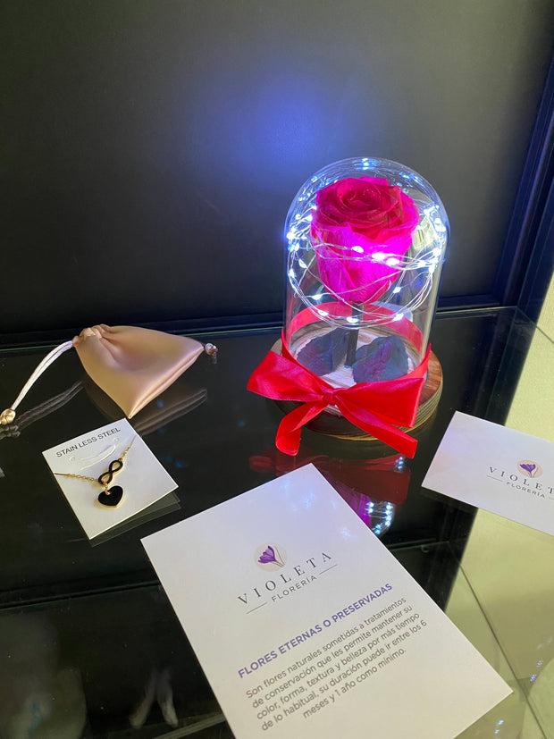 Pack Te Amo Infinito - Florería Violeta