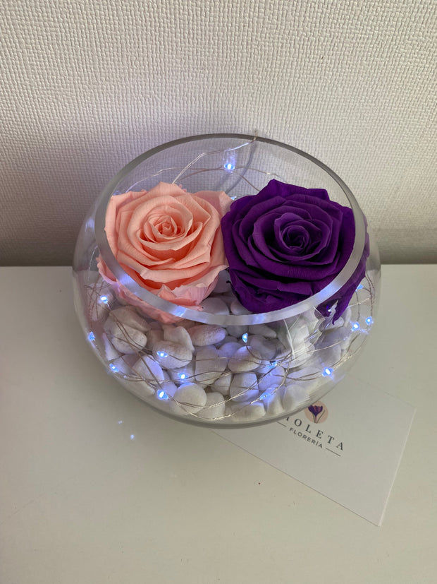 Pecera con 2 rosas eternas - Florero - Florería Violeta