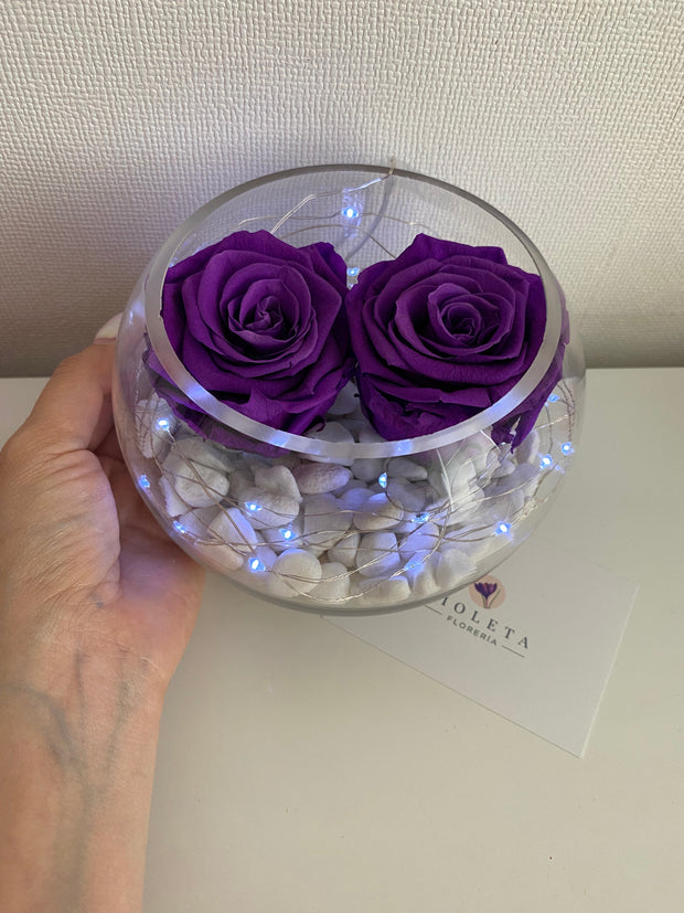 Pecera con 2 rosas eternas - Florero - Florería Violeta