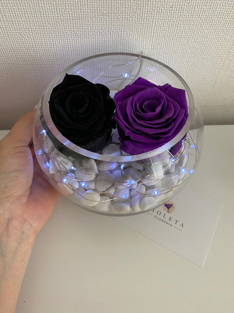 Pecera con 2 rosas eternas - Florero - Florería Violeta