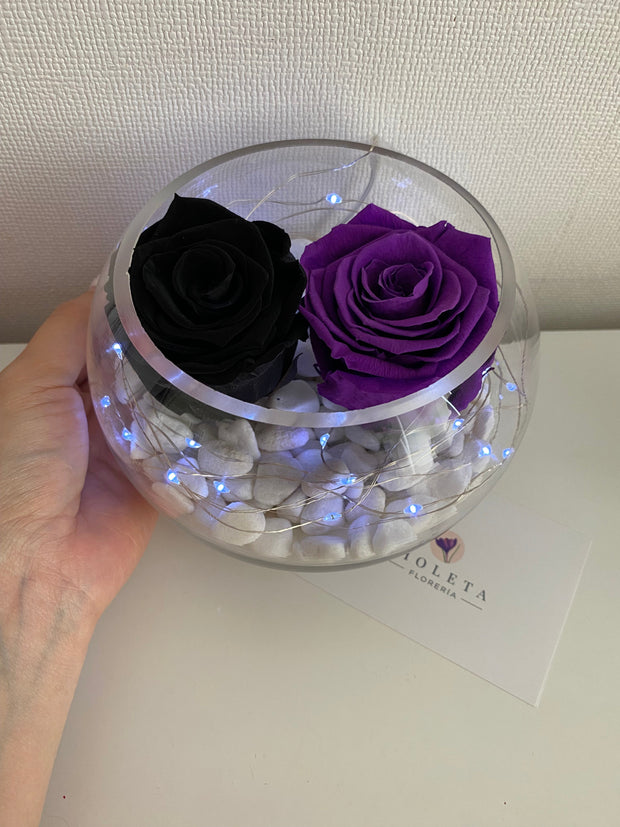 Pecera con 2 rosas eternas - Florero - Florería Violeta