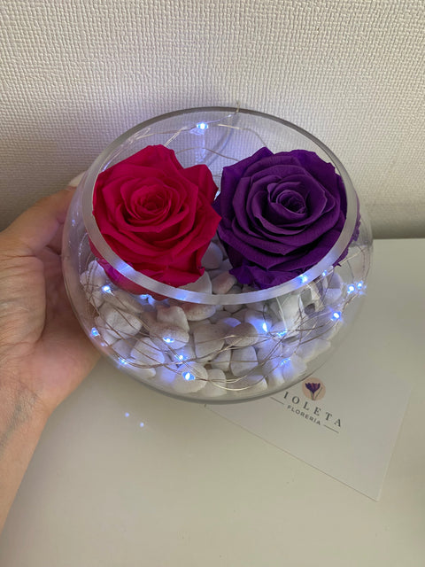 Pecera con 2 rosas eternas - Florero - Florería Violeta