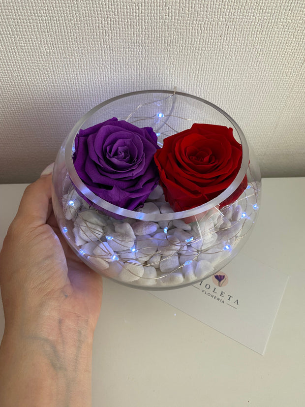 Pecera con 2 rosas eternas - Florero - Florería Violeta