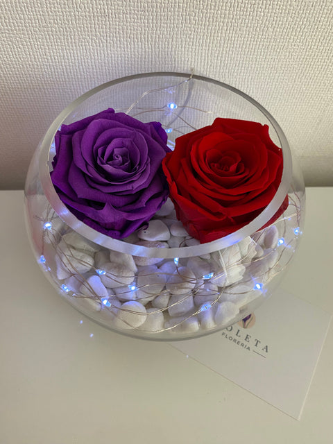 Pecera con 2 rosas eternas - Florero - Florería Violeta