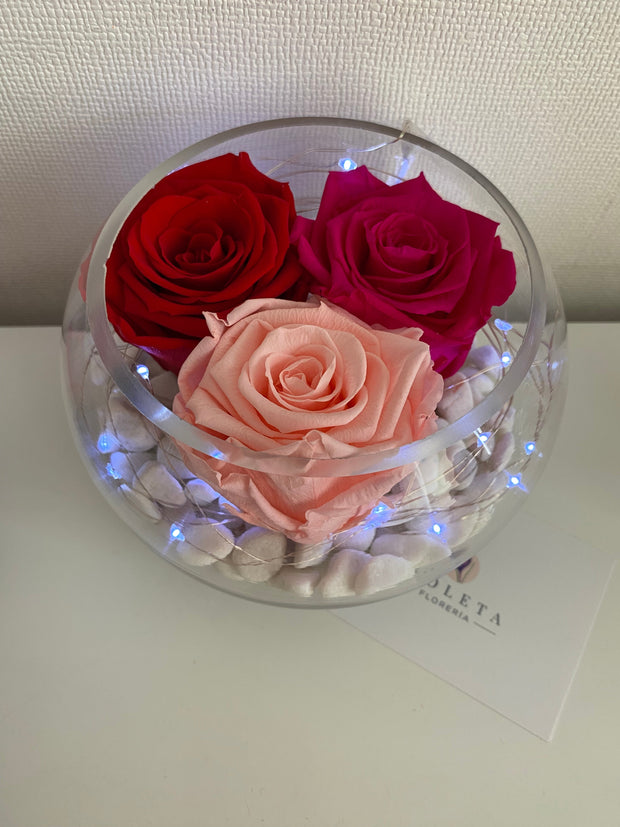 Pecera con 3 rosas eternas - Florero - Florería Violeta