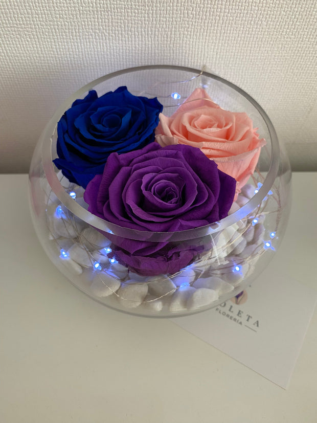 Pecera con 3 rosas eternas - Florero - Florería Violeta