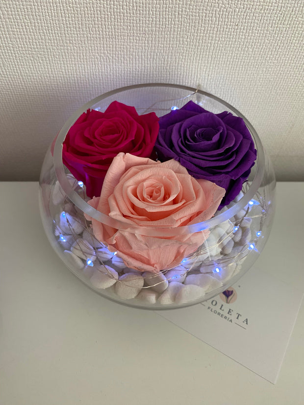 Pecera con 3 rosas eternas - Florero - Florería Violeta