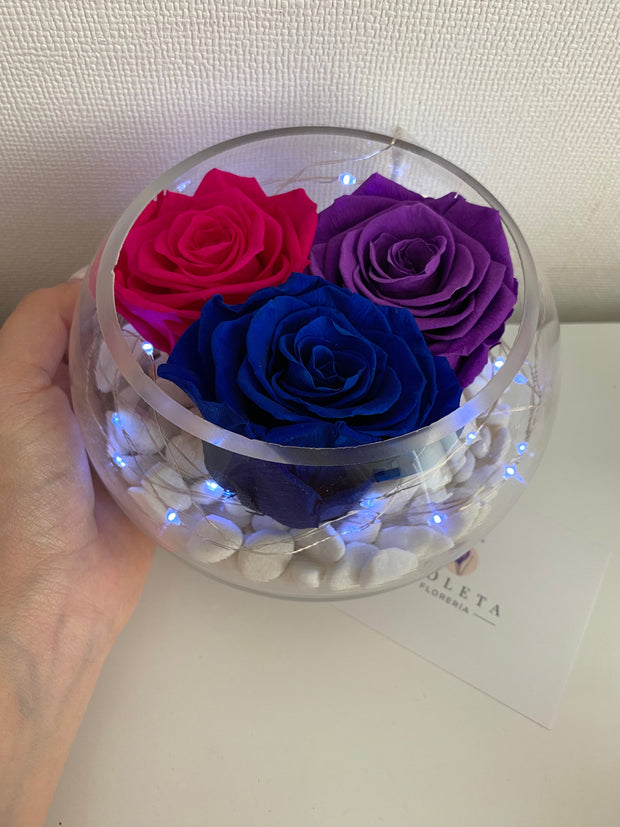 Pecera con 3 rosas eternas - Florero - Florería Violeta