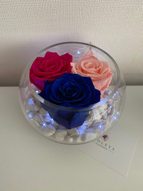 Pecera con 3 rosas eternas - Florero - Florería Violeta