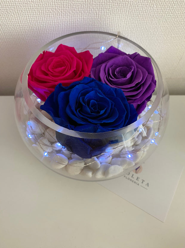 Pecera con 3 rosas eternas - Florero - Florería Violeta