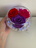 Pecera con 3 rosas eternas - Florero - Florería Violeta