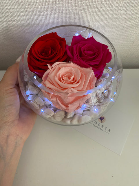 Pecera con 3 rosas eternas - Florero - Florería Violeta