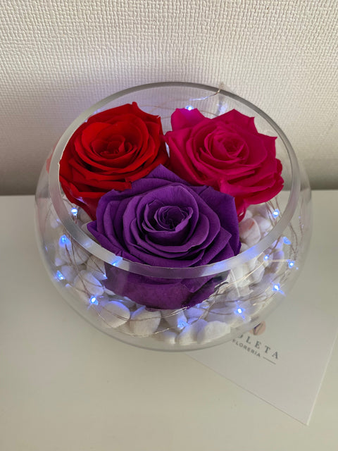 Pecera con 3 rosas eternas - Florero - Florería Violeta