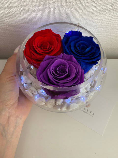 Pecera con 3 rosas eternas - Florero - Florería Violeta