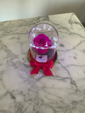 Rosa eterna en mini cúpula - Florero - Florería Violeta