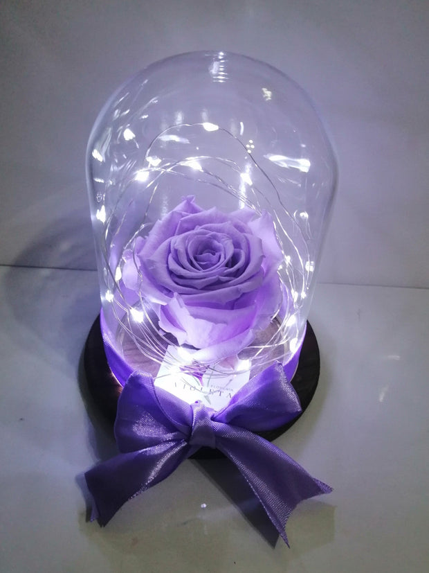 Rosa eterna en mini cúpula - Florero - Florería Violeta