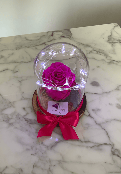 Rosa eterna en mini cúpula - Florero - Florería Violeta