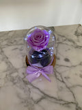 Rosa eterna en mini cúpula La Bella y la Bestia - Florería Violeta