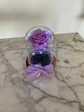 Rosa eterna en mini cúpula La Bella y la Bestia - Florería Violeta