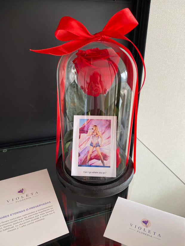 Rosa Luxury Taylor Swift - Florería Violeta