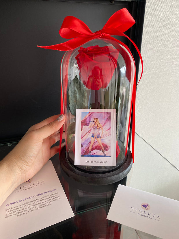 Rosa Luxury Taylor Swift - Florería Violeta