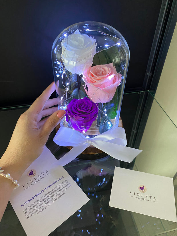 Rosas en cúpula Luxury - Florería Violeta