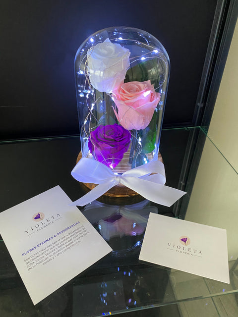 Rosas en cúpula Luxury - Florería Violeta