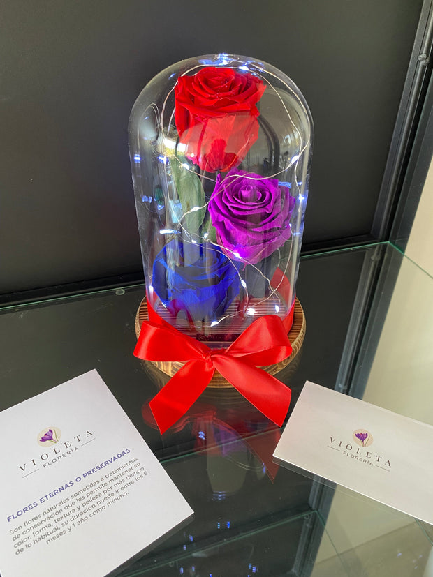 Rosas en cúpula Luxury - Florería Violeta