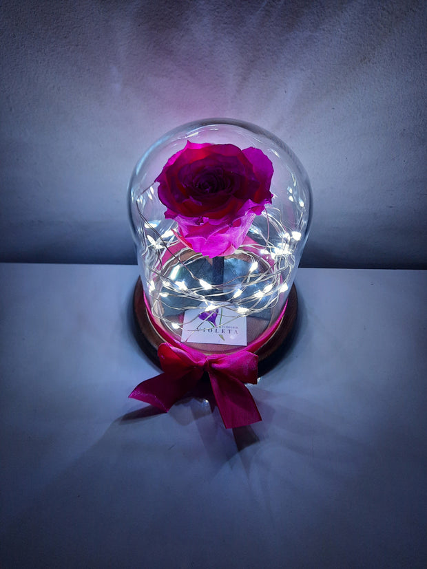 Rosa eterna Magic en mini cúpula - Florería Violeta