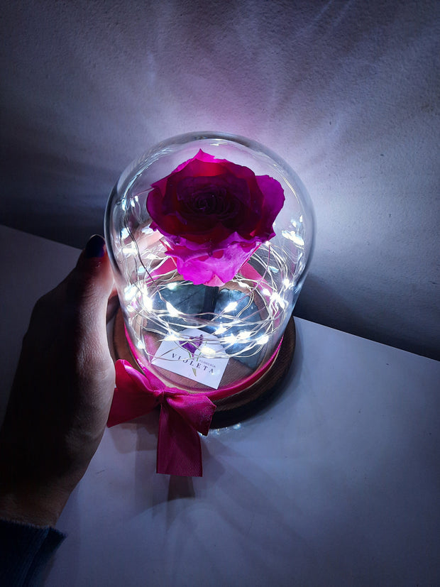 Rosa eterna Magic en mini cúpula - Florería Violeta