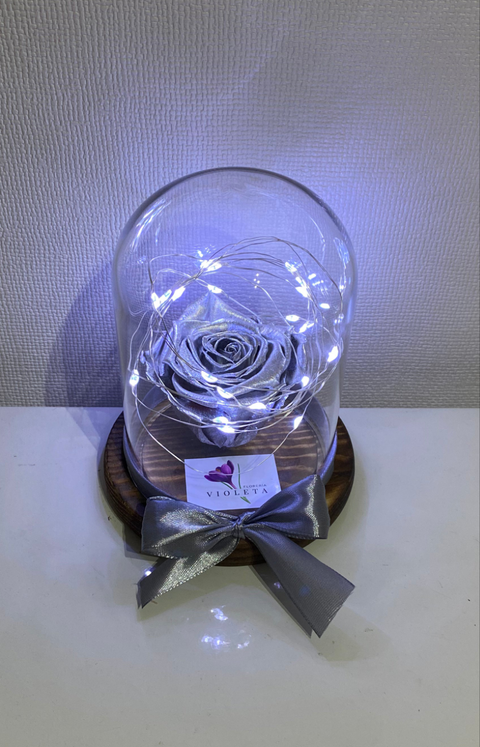 Rosa eterna en mini cúpula - Florería Violeta
