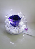 Rosa eterna en pecera - Florería Violeta