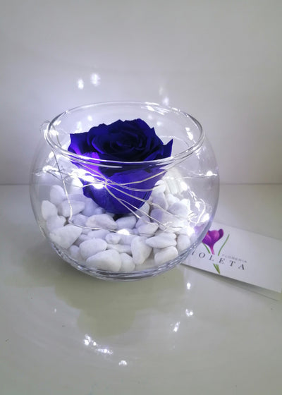 Rosa eterna en pecera - Florería Violeta
