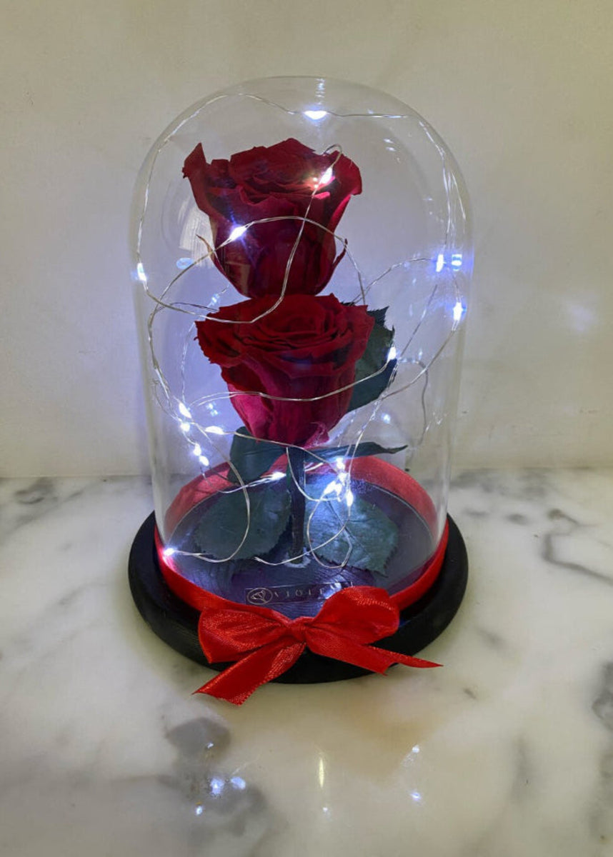 Dos rosas en cúpula Luxury