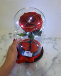 Rosón en cúpula Luxury - Florería Violeta