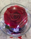 Rosón en cúpula Luxury - Florería Violeta